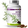 Vita2You Mugwort Extract, 180 Capsules, Artemisia Vulgaris, 10:1 Extract, 6000