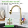 Gold Sink Faucet, Gold Kitchen Faucet with Pull Down Sprayer