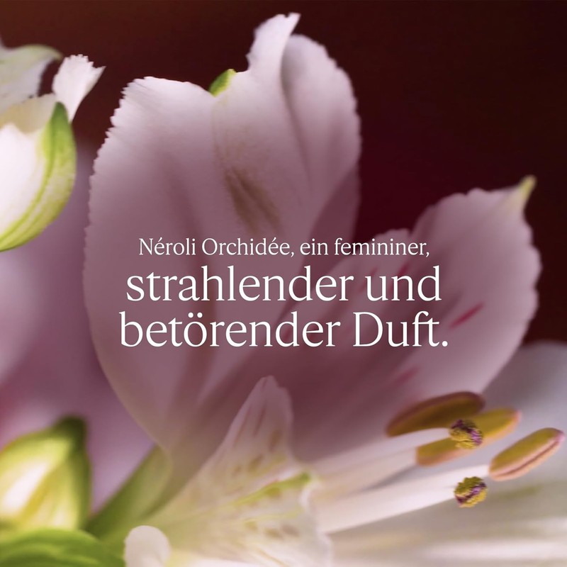 L'OCCITANE - Duft-Bodylotion Neroli und Orchidee - 75 ml -