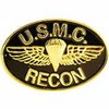 PINS- USMC, Marine Core RECON (1")