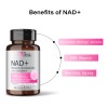 Biogainz Nad Resveratrol 30 Cpsulas Sin Sabor