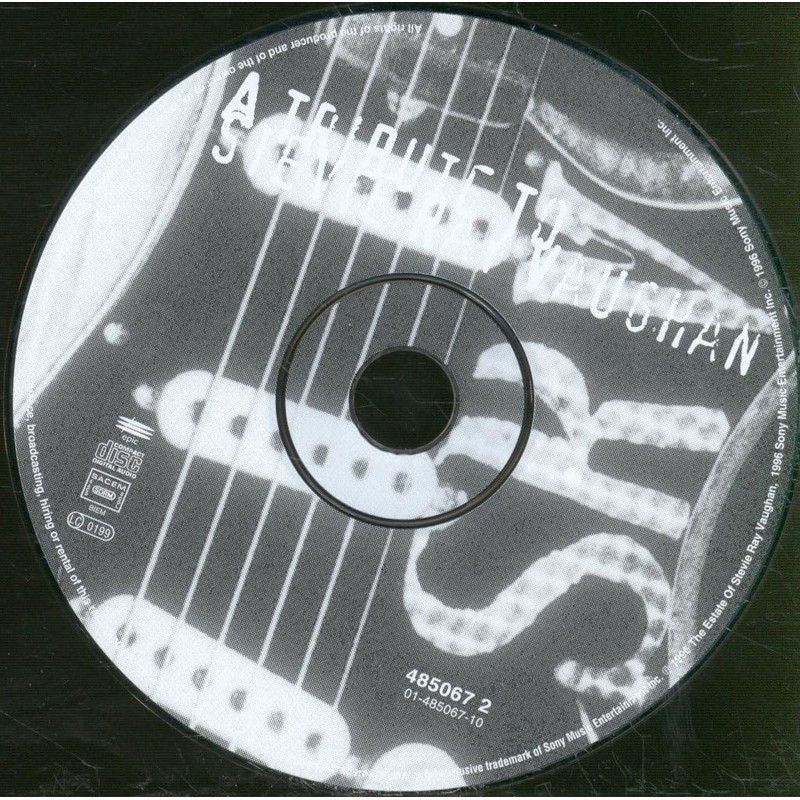 A Tribute to Stevie Ray Vaughan