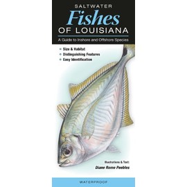 Saltwater Fishes of Louisiana: A Guide to Inshore & Offshore Species