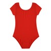 DANSHOW Girls Short Sleeve Leotard with Skirt Kids Dance Ballet