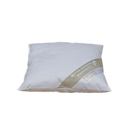 Betten Hofmann Pillow 35 x 35 cm 100 g New Down Pillow Small Pillow Neck Pillow