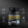 WP100 BOTE FRESA 2,800 G + CREATINA MONOHIDRATADA 500 G