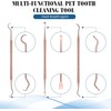 3 Pieces Dog Dental Tooth Scaler and Scraper Stainless Double