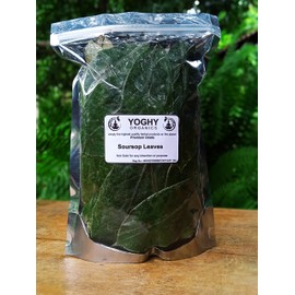 Soursop Tea 300 Pieces Grade A Well Cleaned