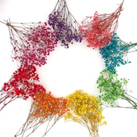 100+Pcs Mini Dried Babys Breath Flowers, 5600+ Multiple Colors Baby Breath Flowers Bulk, Dried Flower for Candle Making Invitation Resin Crafts, Gypsophila for Christmas Wedding Decor