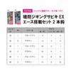 Hayabusa Breakwater Jigging Sabiki EX Ace Set with 2 Hooks