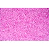 Fresh Step Litter Box Deodorizing Crystals, Sweet Blossom Scent, 15oz;