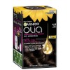 Garnier Olia 4.0 Dark Brown No Ammonia Permanent Hair Colour