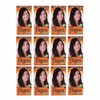 BIGEN Pack de 12 tintes marca bigen polvo tono,"bp castano