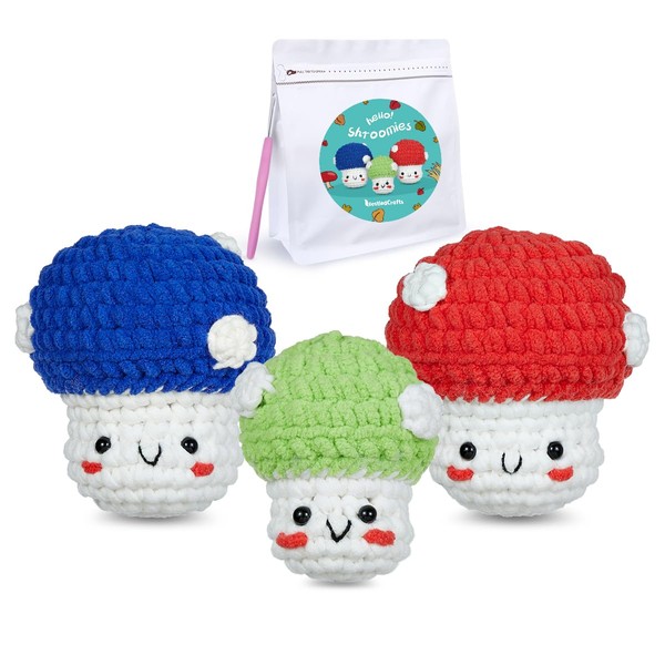 Crochet Kit for Beginners, Crochet Starter Kits for Kids and
