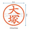 Shachihata Stamp Name 6 Correction Stamp XL-6 Stamp Face 0.2