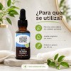 Aceite de NEEM Orgánico 100% puro sin diluir - Azadiractina