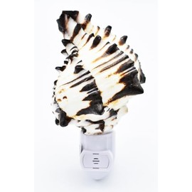 Florida Shells and Gifts Seashell Night Light Real Black Murex Shell Beach Decor w. Automatic Light Sensor Beautiful Coastal Cottage