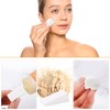 24 Triangle Makeup Sponge Washable Foundation Sponge White