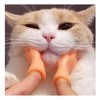 10 Pieces Mini Finger Hands Cat Toy - Tiny Cute