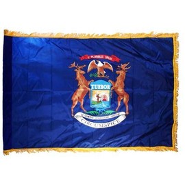 US Flag Store Michigan State Flag 3x5ft Nylon with Indoor Pole Hem and Fringe