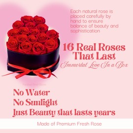 Festive Find Store Preserved Flowers Heart Shape Box 16 Preserved Roses, Immortal Red Roses Gift for Her Him, Eternal Fresh Flowers for Fathers Day Men Valentines Day Gifts for Dad