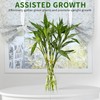 Monstera Plant Support, Set of 6 Iron Plant Stem Supports