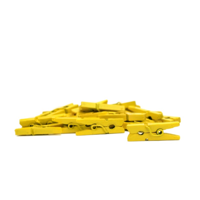LWR CRAFTS Craft Wooden Mini Clothespins, 2.5cm Length, 15 Colors,