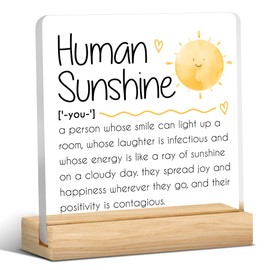 Human Sunshine Gifts Social Worker Gifts for Women Thank You Appreciation Graduation Birthday Gifts for Women Coworkers Therapist Teachers Friends Doctor Nurse Inspirational Office Desk Decor