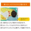 サクラクレパス クレパス太巻 LPバラ#7 うすだいだい