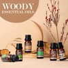 SALKING SALKING Woody Essential Oil Set 1