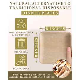 brheez Bamboo Plates from Palm Leaf 8 in Party Plates [50 Pack] Eco Friendly Compostable & Biodegradable – Disposable Plates Heavy Duty and More Environmentally Friendly than Paper Plates