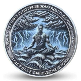 Serenity Prayer Sobriety Chip - Zinc Alloy AA Coin with 'Serenity is Not Freedom from The Storm' Design, 1.57" Motivational Token for Strength, Courage & Peace