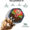 Gardner Pet Slow Feeder Dog Bowl for Medium/Large Dogs,Anti Choke