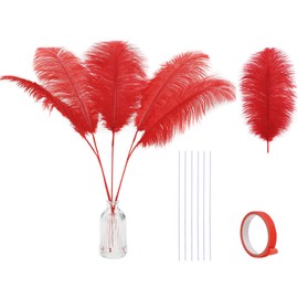 Holmgren Red Ostrich Feathers for Vase - 20pcs Making Kit 22 Inch Long Ostrich Feathers for Vase, Floral Arrangement, Wedding Party Centerpieces Home Decorations (Red)