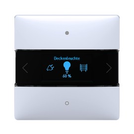 Theben 4969238 iON 108 KNX Room Controller with Integrated Temperature Controller I Secure Communication through KNX Data Secure I App Control Bluetooth