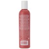 John Masters Organics Colour Enhancing Conditioner for Red Hair Conditioner