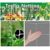 2-Pack Plant Trellis Netting – 5 x 15 ft Polyester