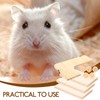 POPETPOP Wooden Hamster Platform Bird Perch : Bird Cage Perch