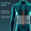 Tynor Faja de Tracción Lumbar Sencilla (CH-MED) A30