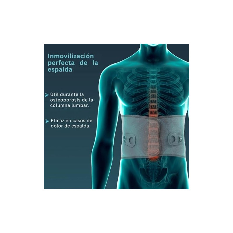 Tynor Faja de Tracción Lumbar Sencilla (CH-MED) A30