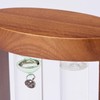 Chatani 333-S272GR Thermometer & Storm Glass, Green, H7.3 x W