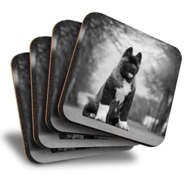 Destination Vinyl ltd Great Coasters (Set of 4) Square - BW - Large American Akita Puppy Dog Drink Glossy Coasters/Tabletop Protection for Any Table Type #36628