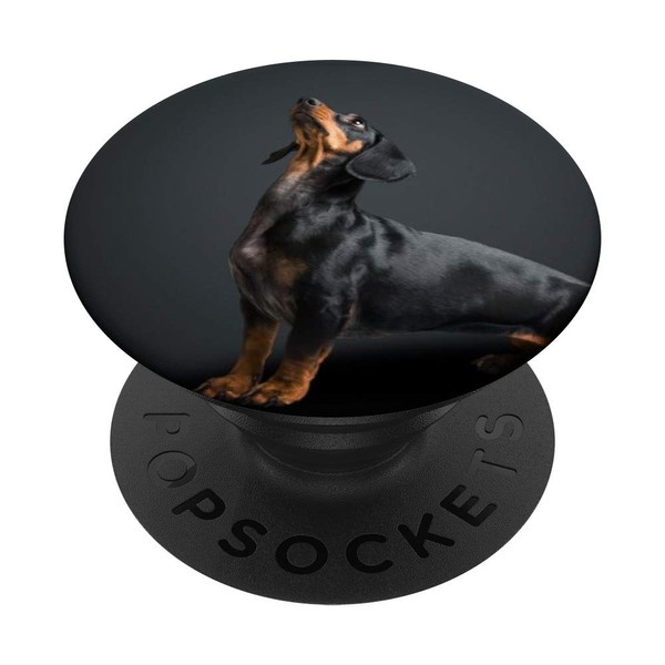 Dachshund Black PopSockets with Interchangeable PopGrip