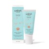 Wotnot Buy Wotnot Natural Sunscreen for Face and BB Cream SPF 30 Untinted 60g Online
