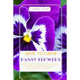 HOW TO GROW PANSY FLOWERS: Beginners guide to planting, caring and harvesting beautiful pansies