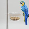 Fhandong Plastic Bird Detachable Transparent Bowl, 4Pcs, Easy Access Design,