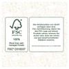 Quay Stegosaurus Holzbausatz FSC
