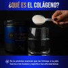 Colágeno Hidrolizado Polvo Plenius & Winner Tipo I II Sin
