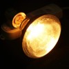 Eboxer Livestock Heat Lamp,1Pc UVA UVB Full Spectrum Sunlight Lamp