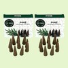 Pine Incense Cones - Dual Pack of 10 - Scented